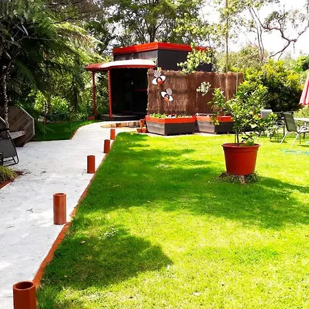 Quirky Woods - Glamping Cabins At Maketu Exterior photo