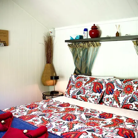 Quirky Woods - Glamping Cabins At Maketu Exterior photo