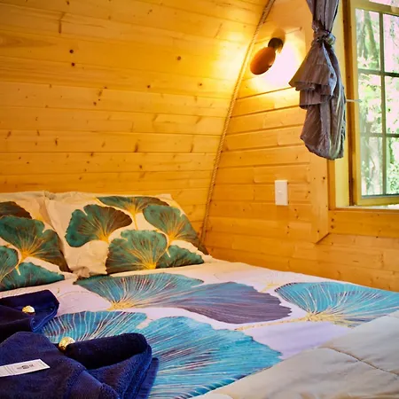 Quirky Woods - Glamping Cabins At Maketu Exterior photo