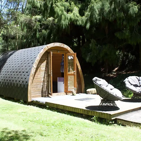 Quirky Woods - Glamping Cabins At Maketu Exterior photo