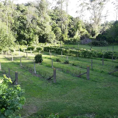 Quirky Woods - Glamping Cabins At Maketu Exterior photo